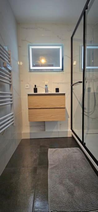 T3 Duplex Thonon Centre - Parking - Gare - Thermes מראה חיצוני תמונה